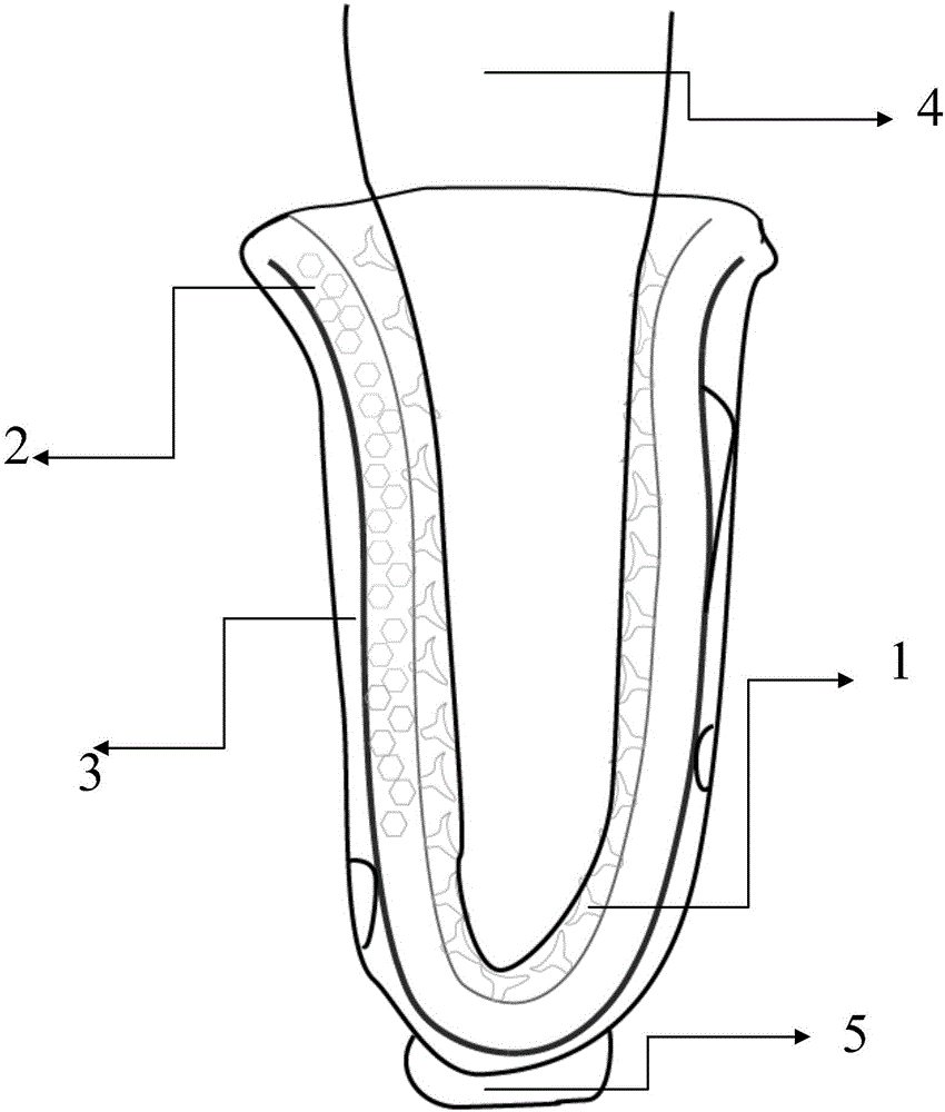 Biological sucker imitating artificial limb receiving chamber with open structure