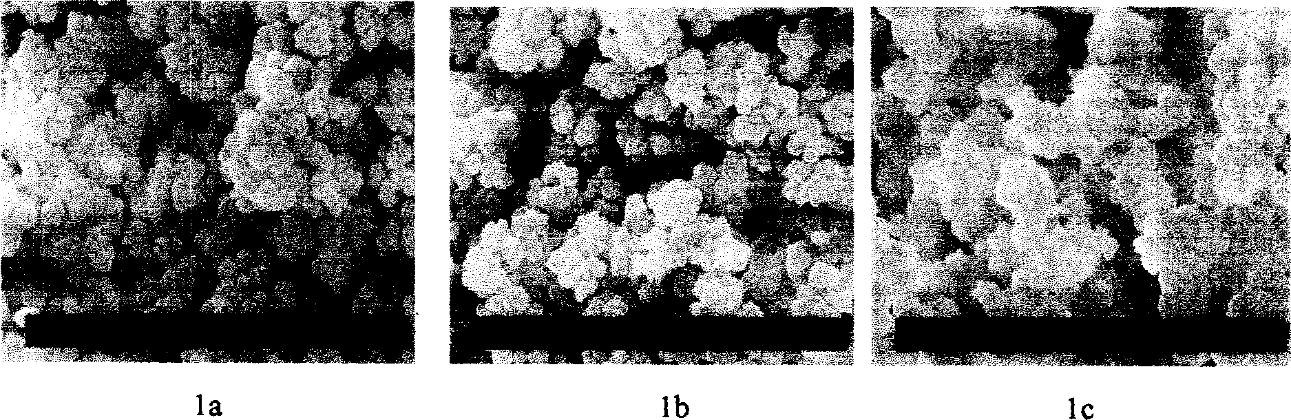 Method for preparing octyl group micro column liquid phase chromatograph integrate column