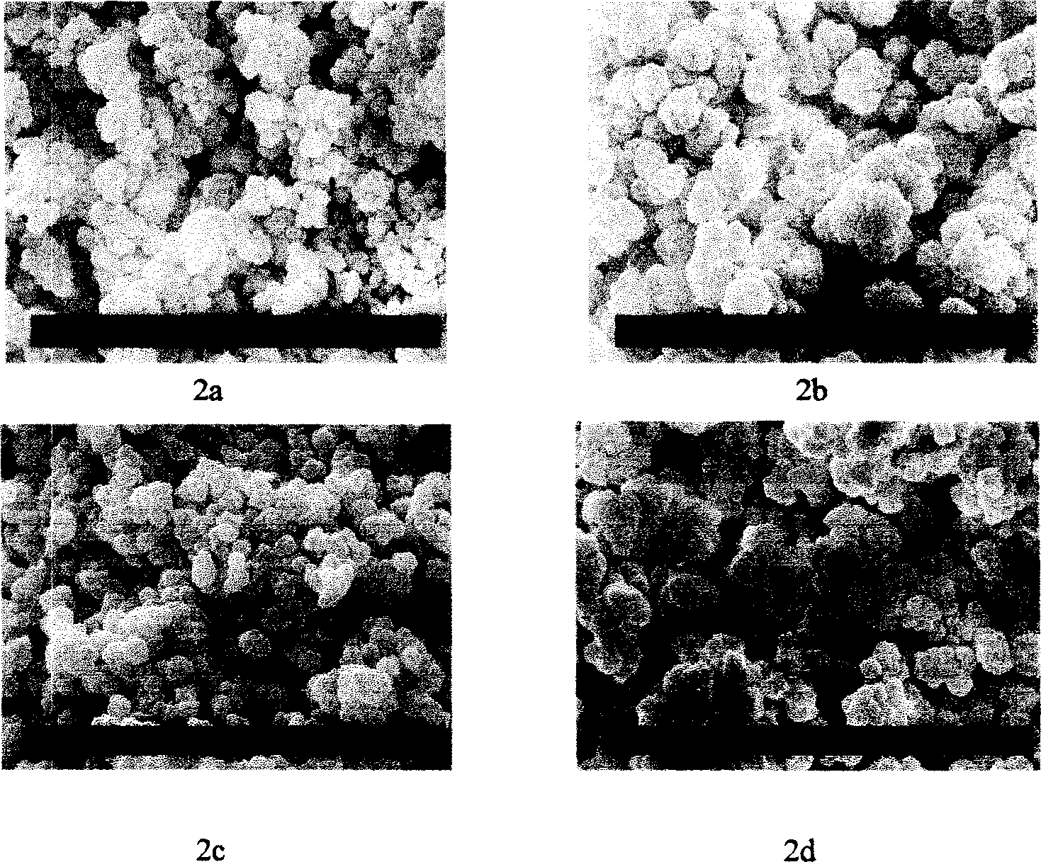 Method for preparing octyl group micro column liquid phase chromatograph integrate column