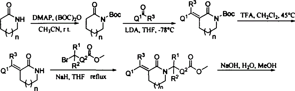 Lactam histone deacetylase inhibitors