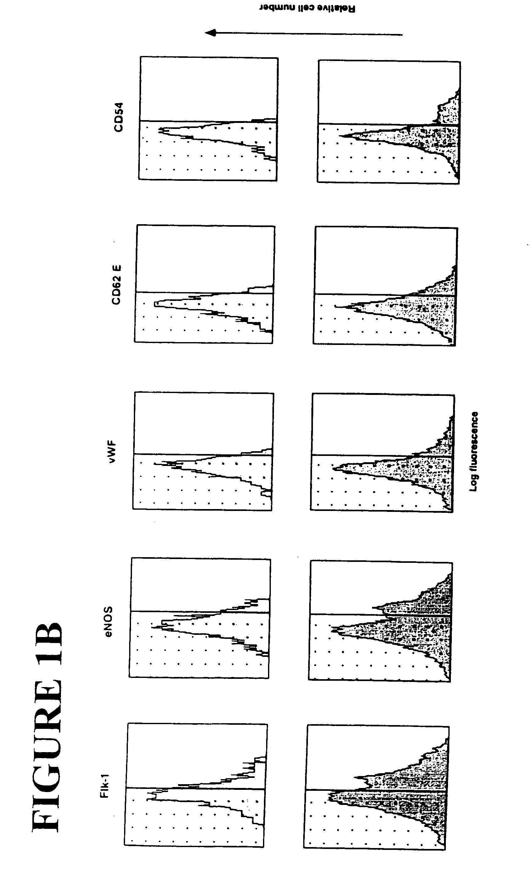 Method of increasing trafficking of endothelial progenitor cells to ischemia-damaged tissue