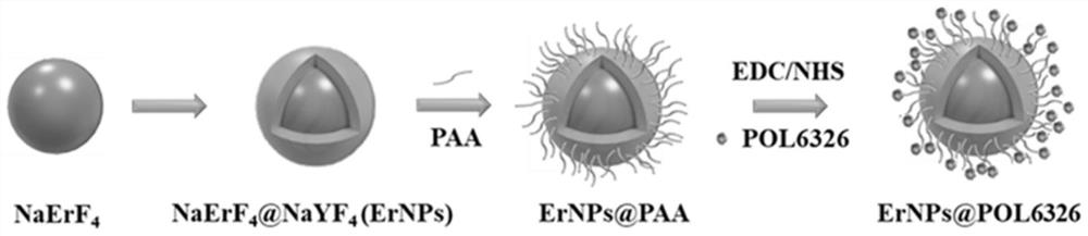 Targeting molecular probe for non-invasive evaluation of sentinel lymph node metastasis of breast cancer