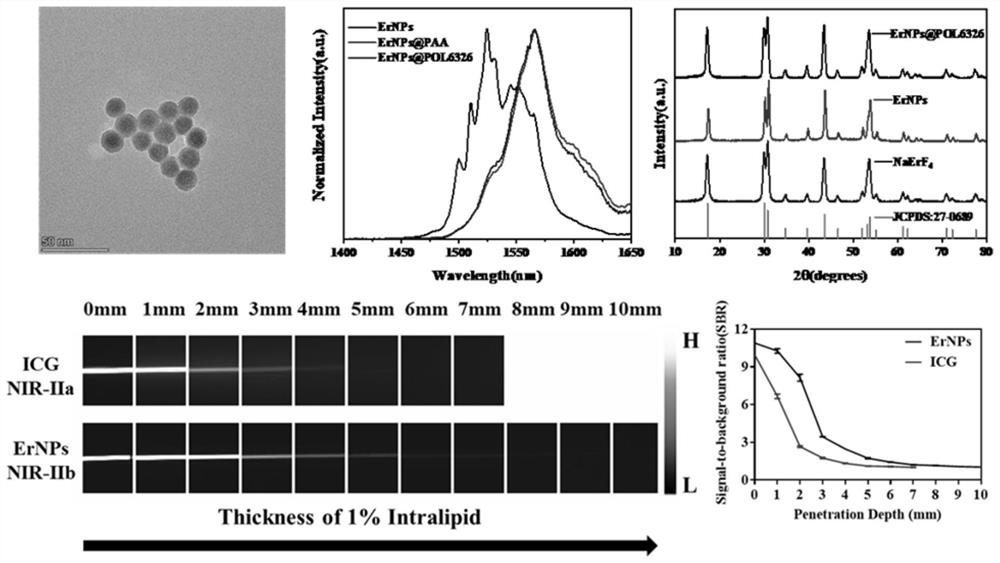 Targeting molecular probe for non-invasive evaluation of sentinel lymph node metastasis of breast cancer