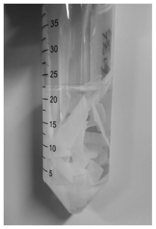 A three-dimensional culture method of tumor cells based on folded non-woven polyester fiber tape