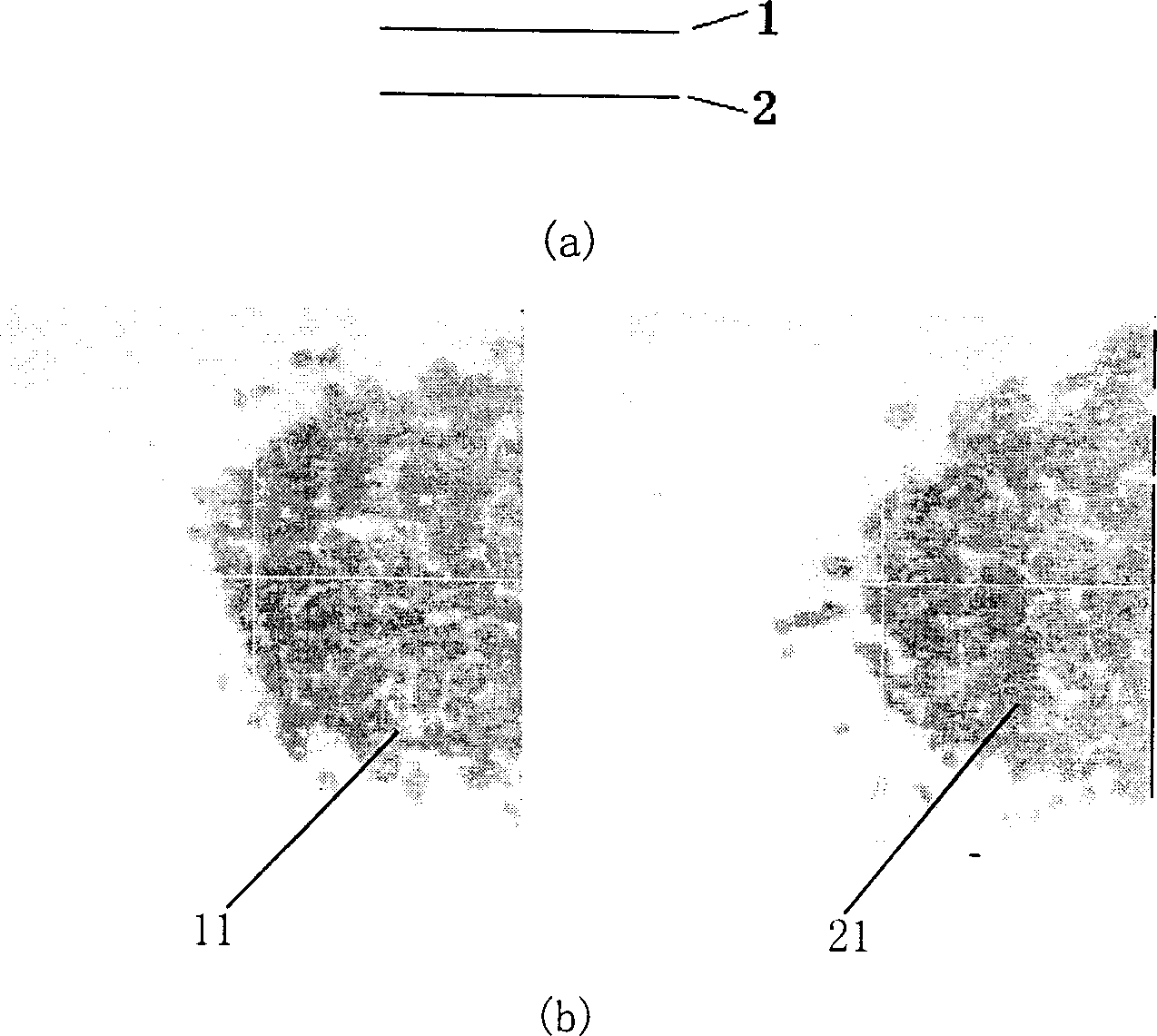Micro image characteristic extracting and recognizing method