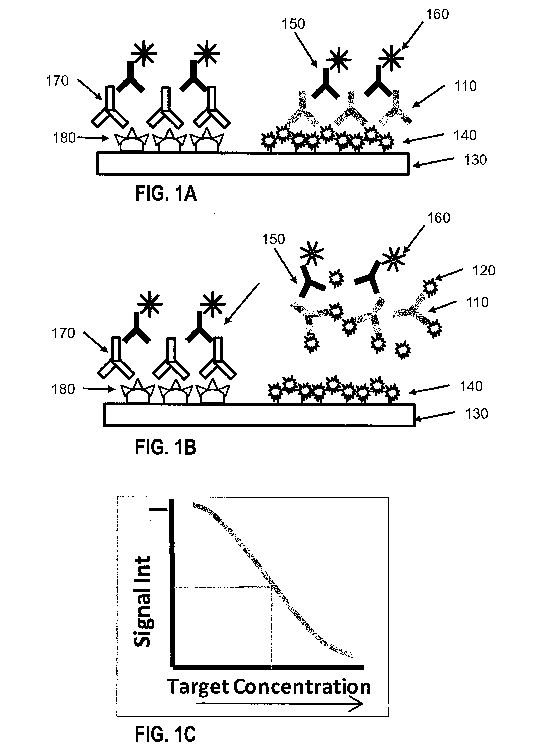 System And Method For Detection And Analysis Of A Molecule In A Sample