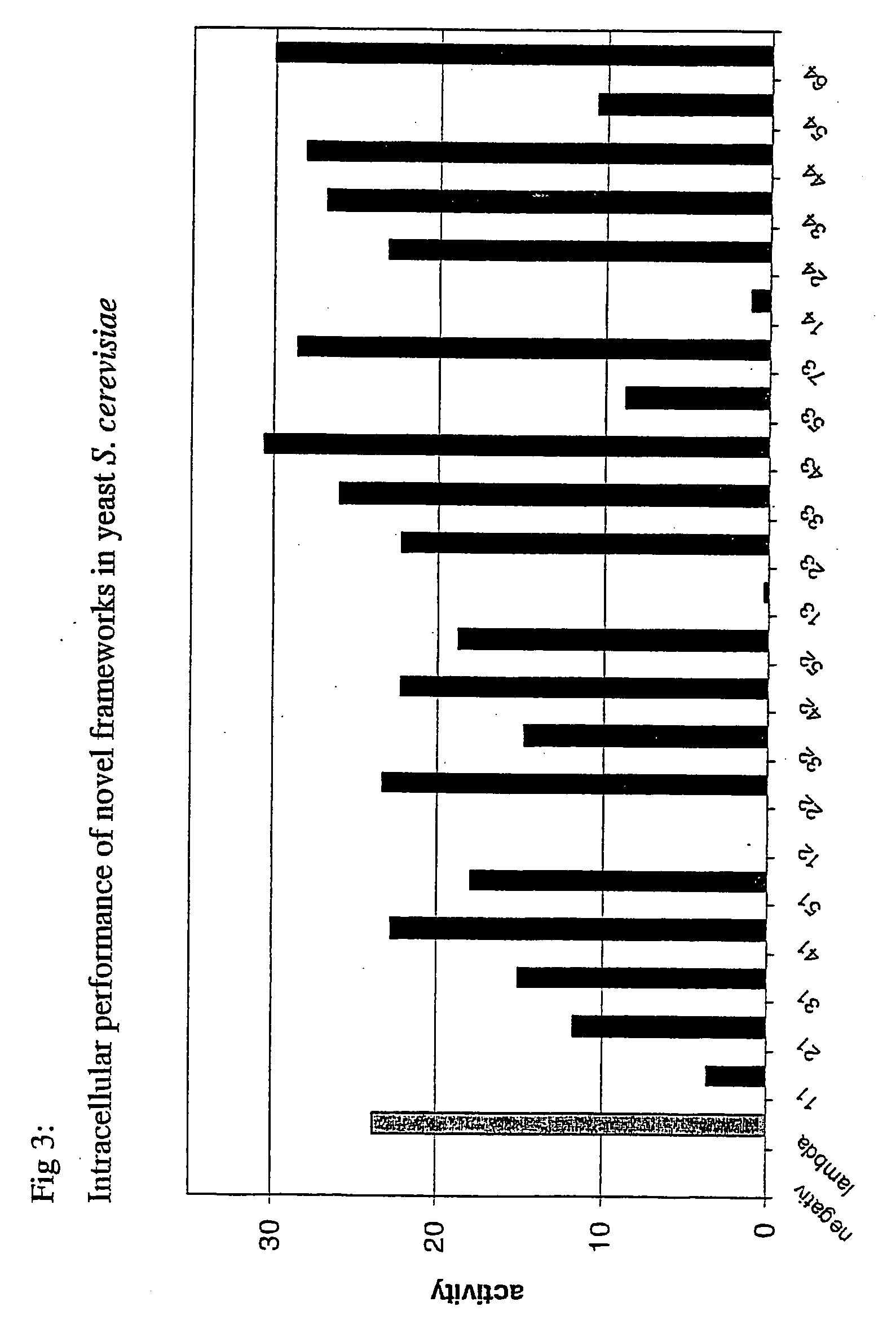 Immunoglobulin frameworks which demonstrate enhanced statbility in the intracellular envioronment and methods of identifying same