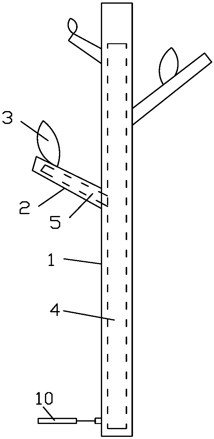 Water collection and irrigation system