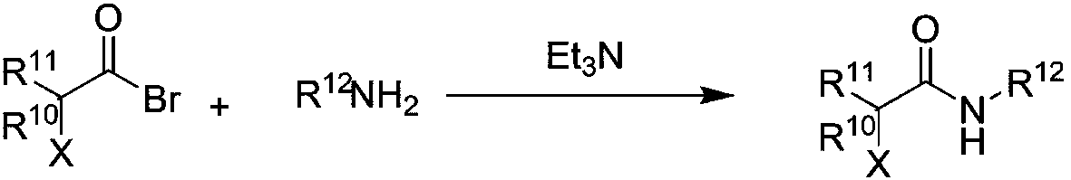 Chiral aromatic amine compounds and preparation method thereof