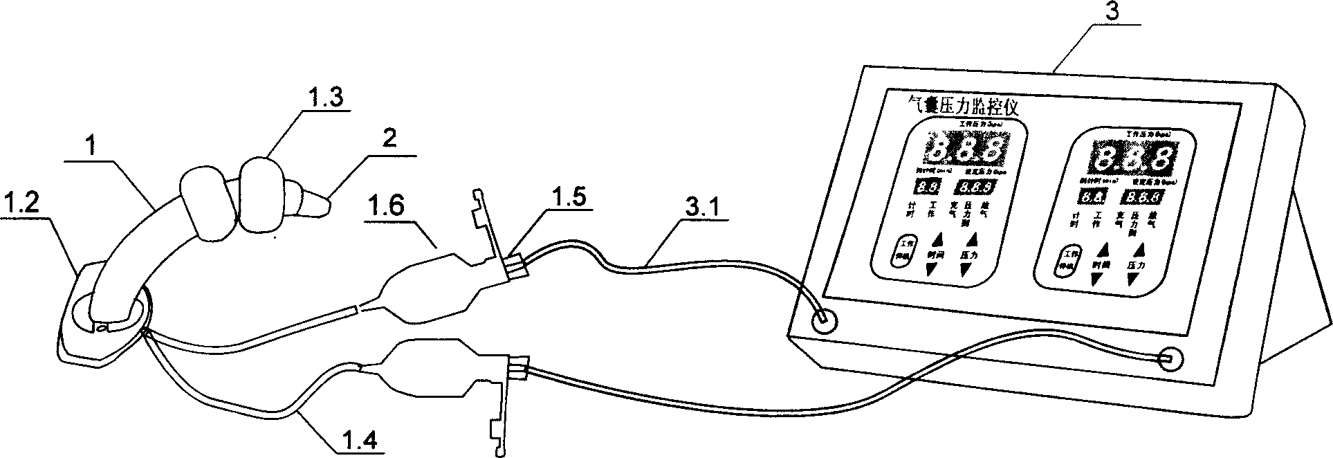 Biairbag trachea cannula