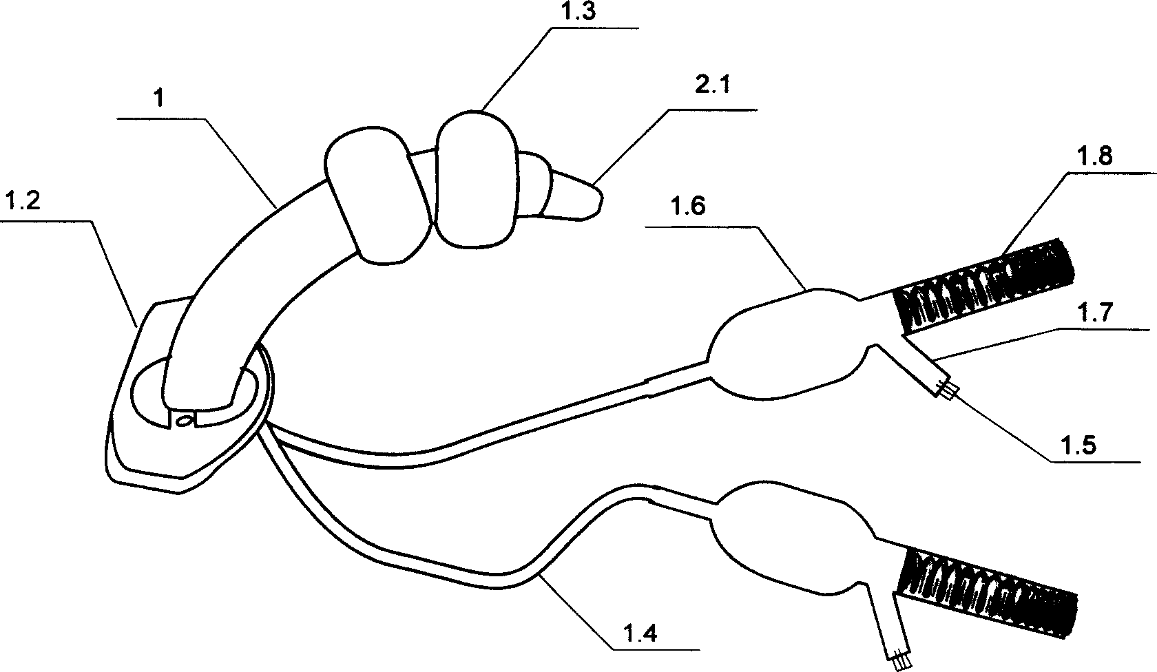 Biairbag trachea cannula