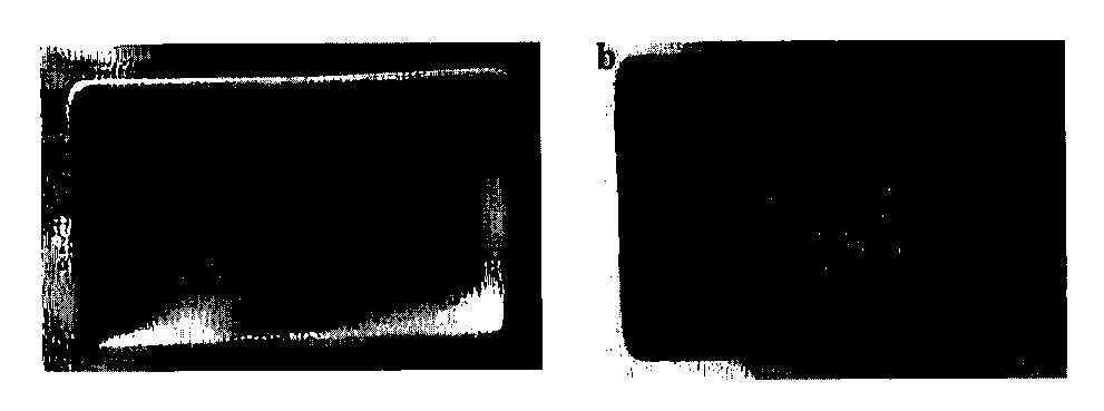 Preparation method of three-dimensional graphene-based foam material