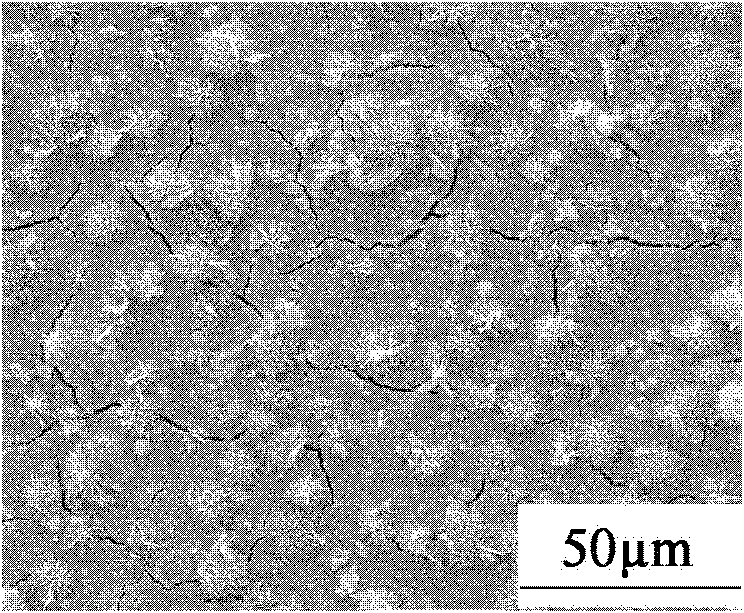 Polymer-matrix composite material with super-hydrophobic surface and preparation method thereof