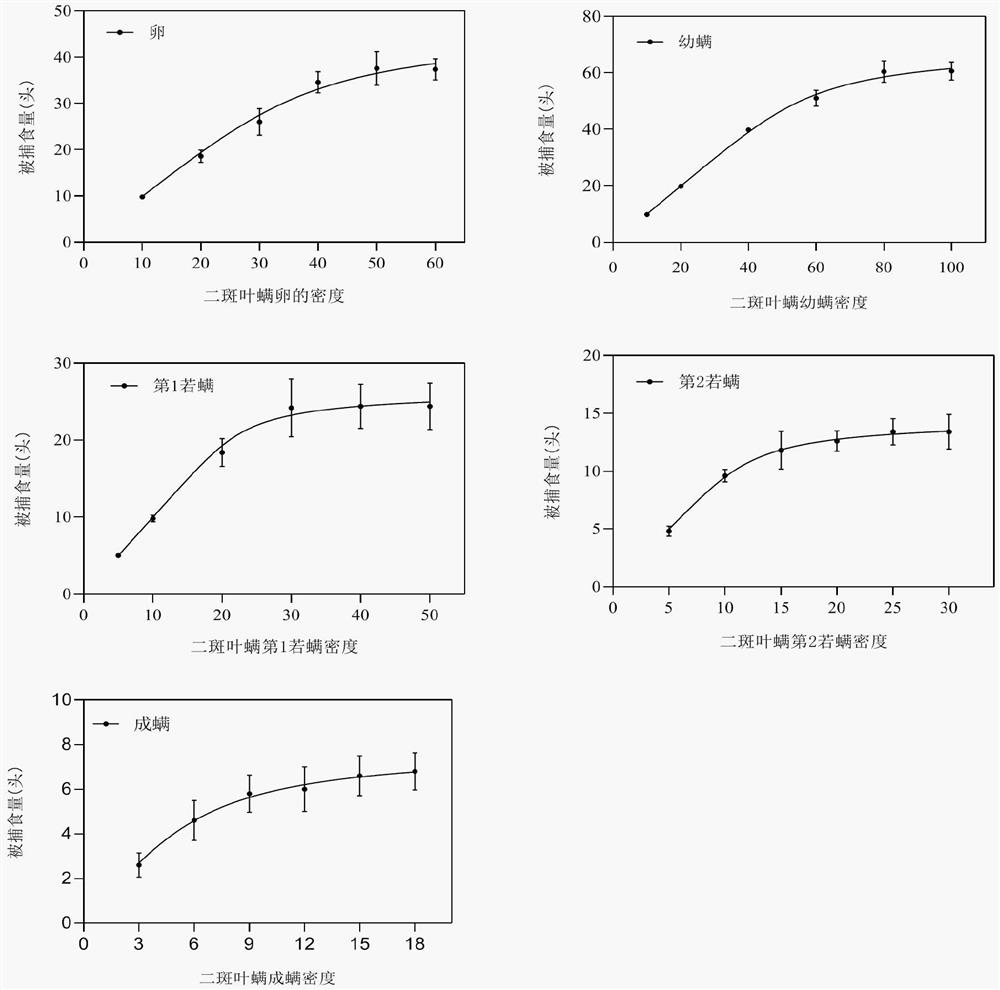 Application of Neoseius striaeuri in the control of small sap-sucking pests and its breeding method