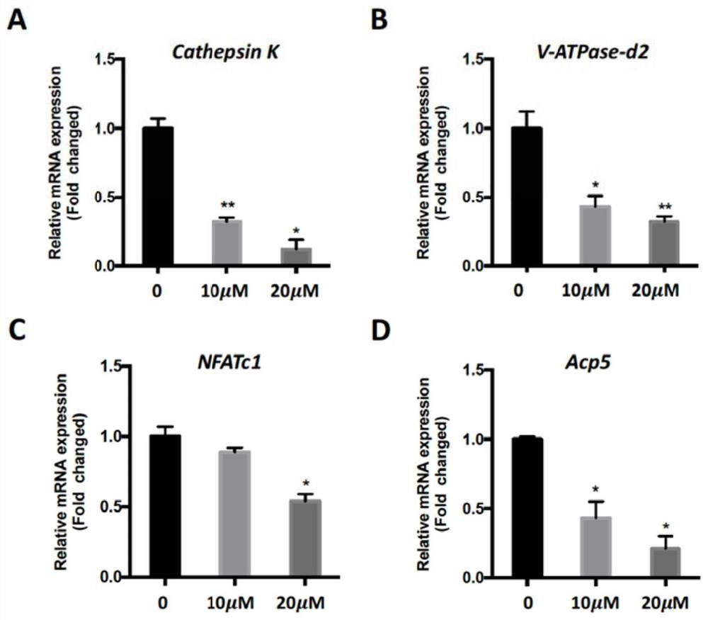 Application of asiaticoside in the treatment of abnormal bone metabolism