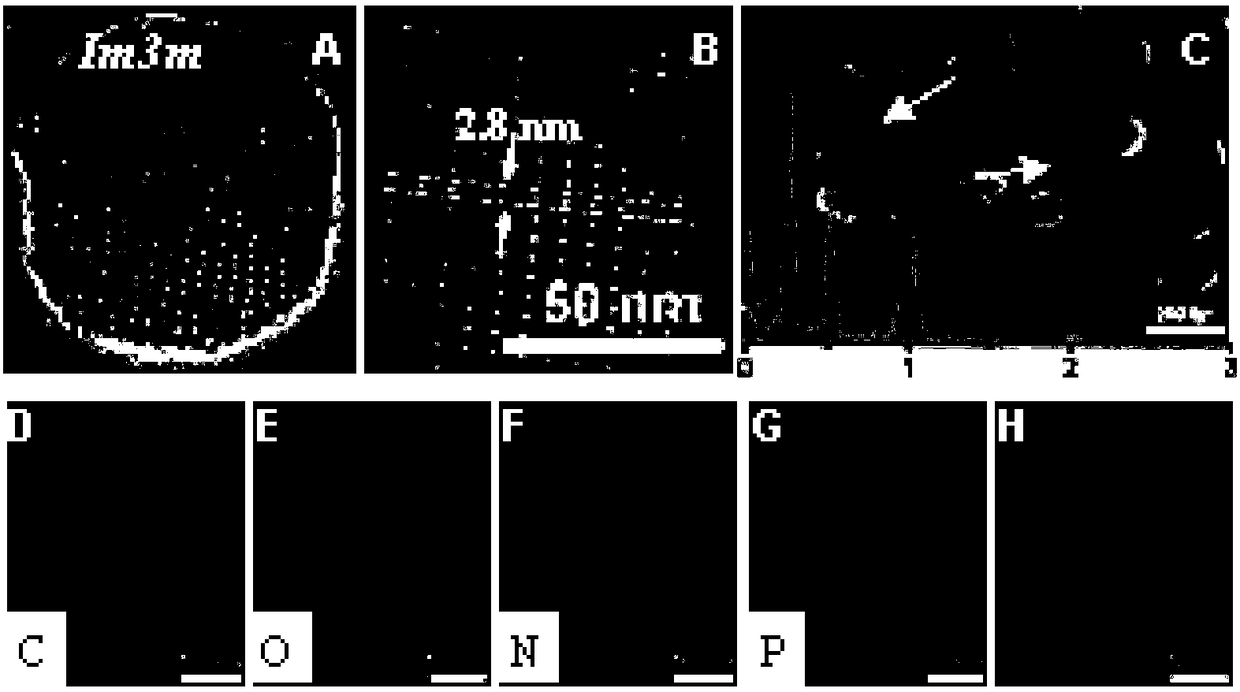 Construction method of ligand-gated diagnosis and treatment system and application of ligand-gated diagnosis and treatment system in real-time tumor response