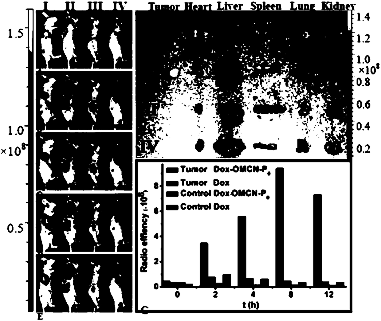 Construction method of ligand-gated diagnosis and treatment system and application of ligand-gated diagnosis and treatment system in real-time tumor response