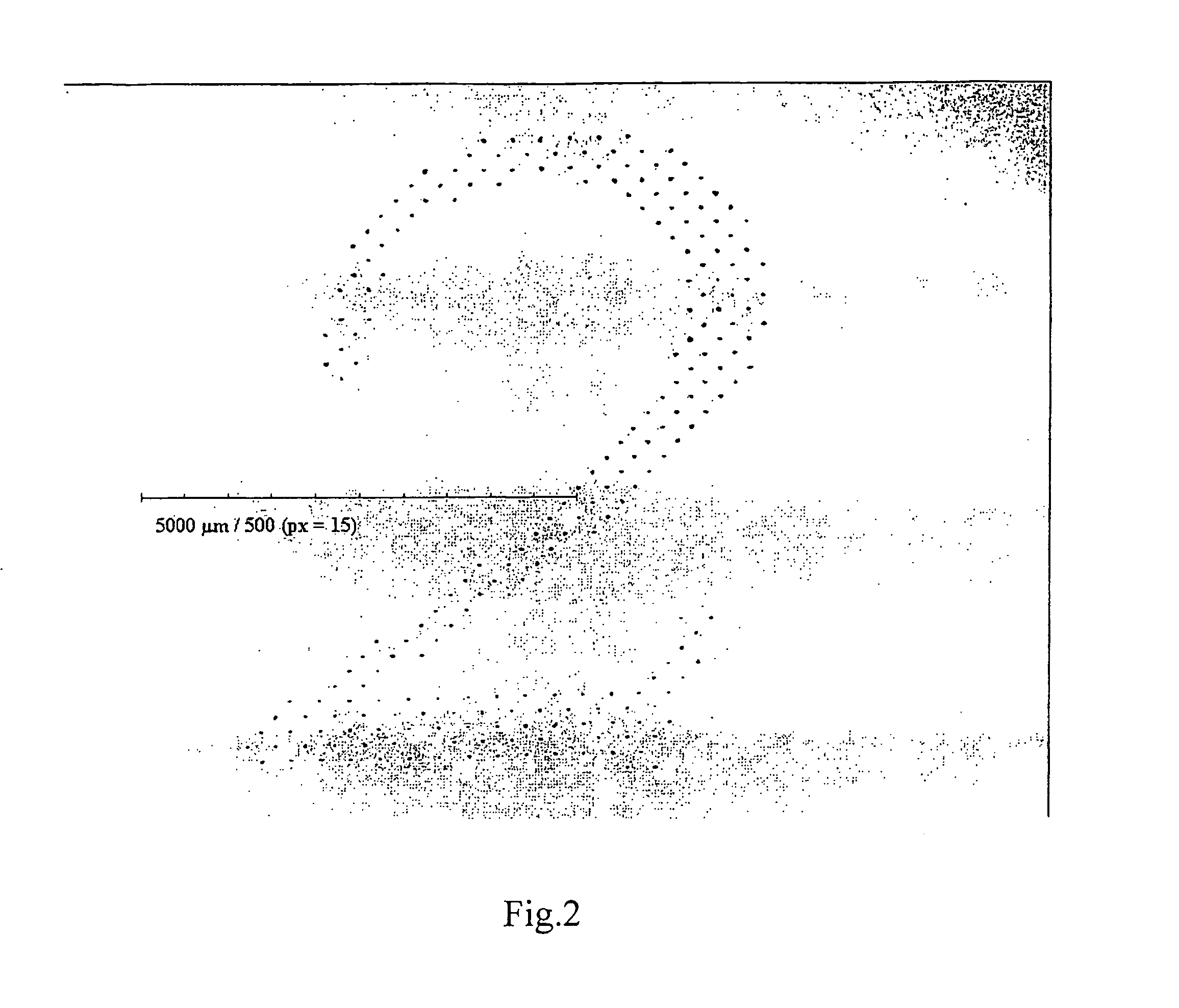 Print Substrate with a Scrambling Pattern for Concealing a Confidential Information Sequence