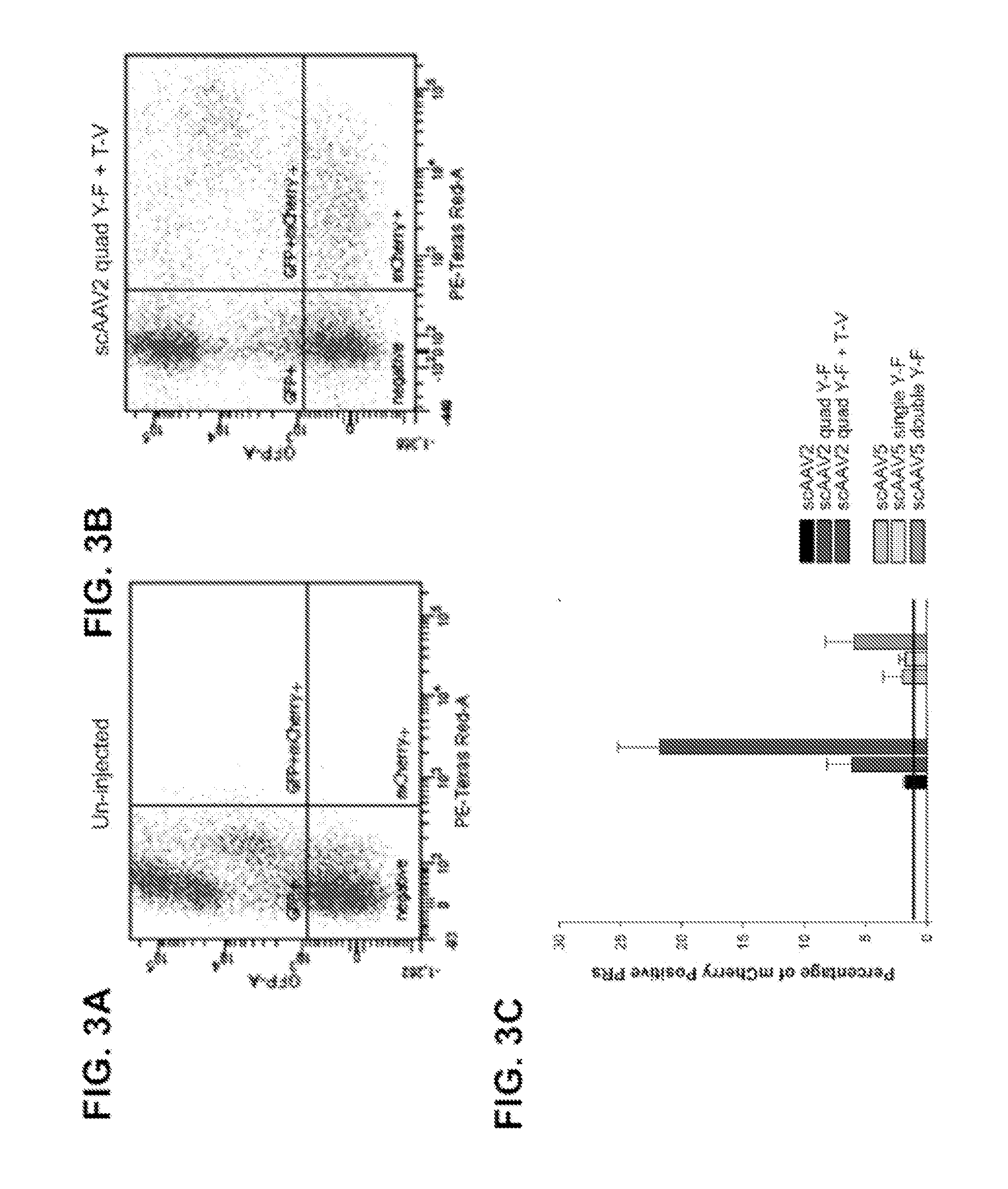 Methods and compositions for gene delivery to on bipolar cells
