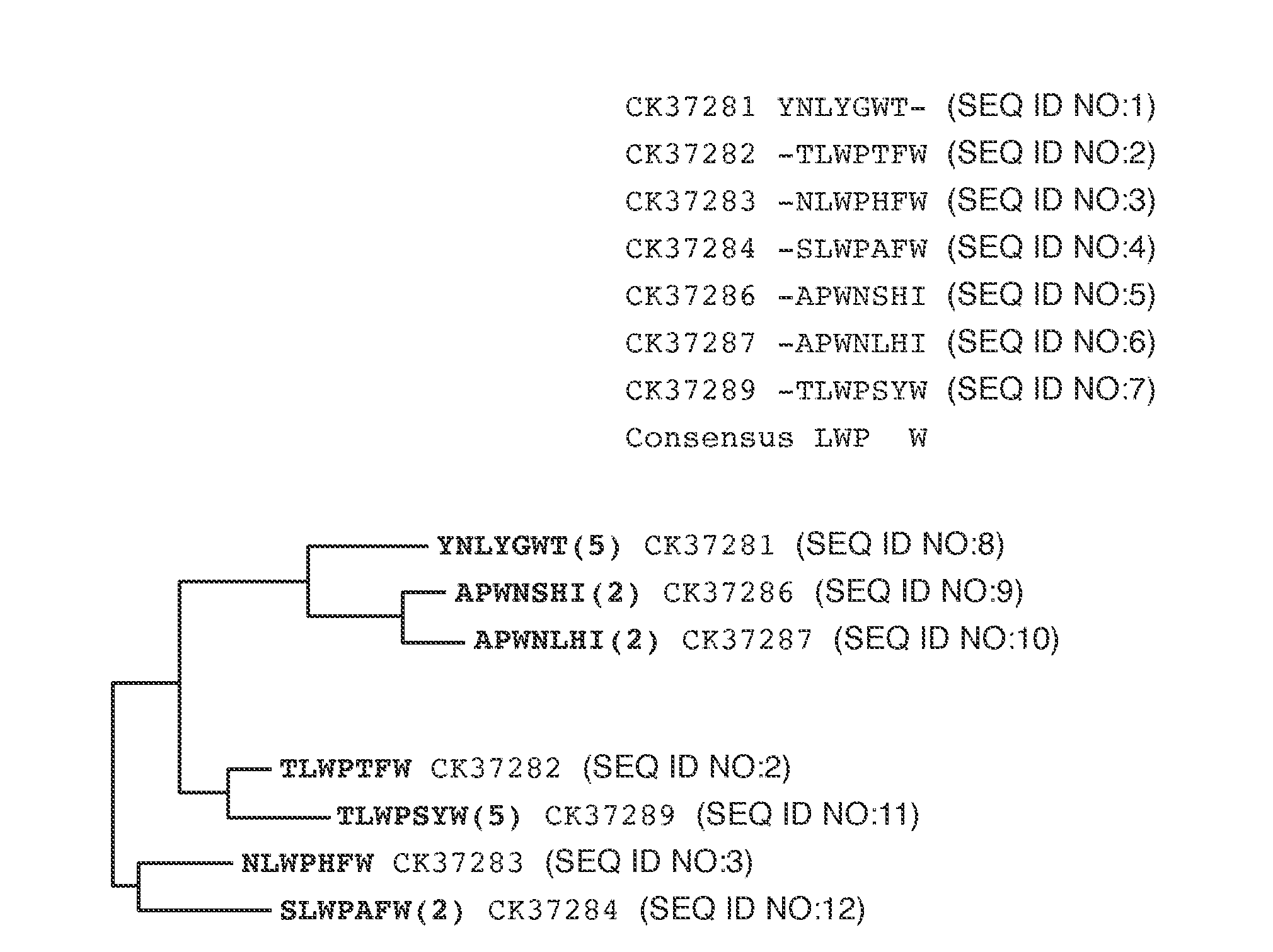 Peptide personal care compositions and methods for their use