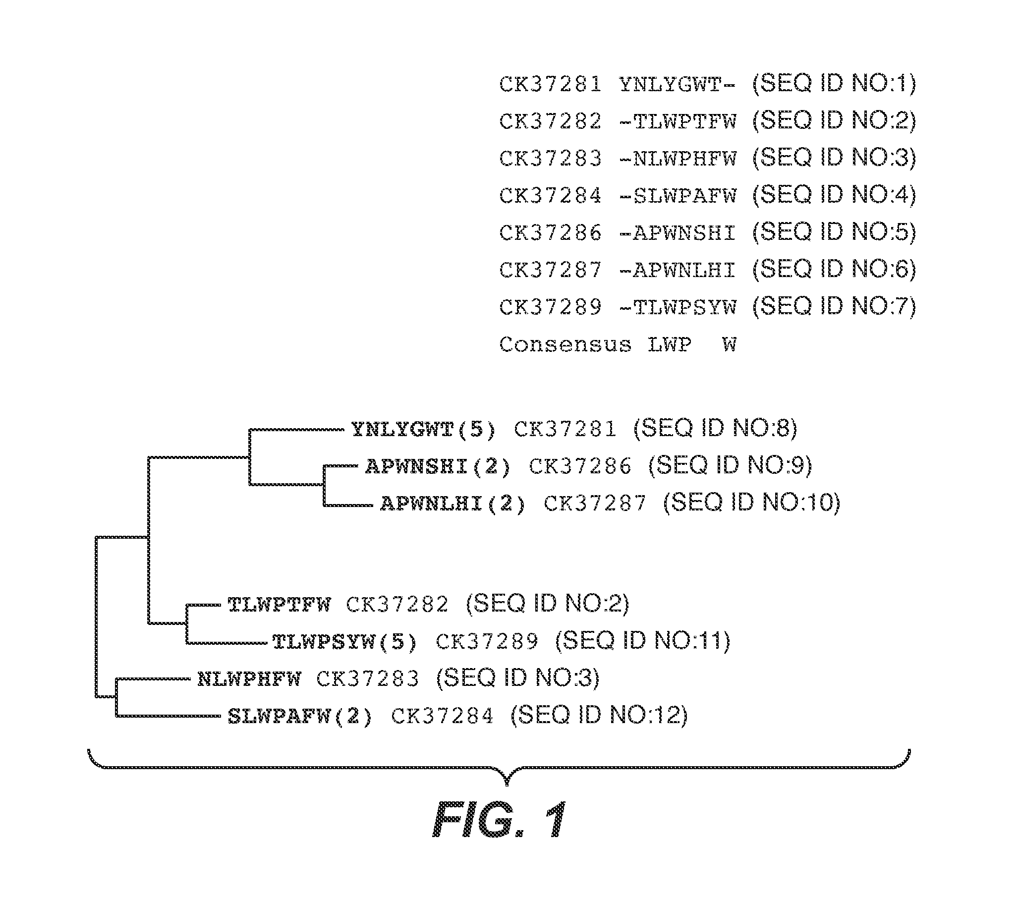 Peptide personal care compositions and methods for their use