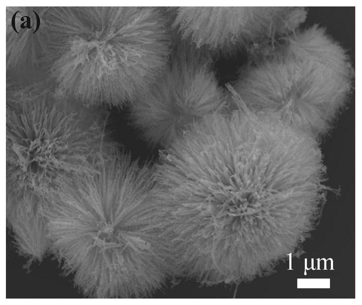 A sers substrate capable of naturally eliminating fluorescent background and its preparation method