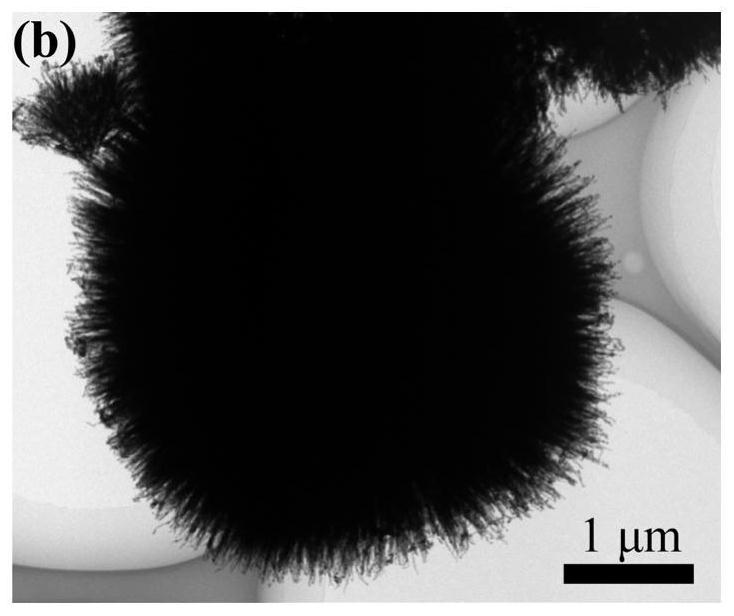 A sers substrate capable of naturally eliminating fluorescent background and its preparation method