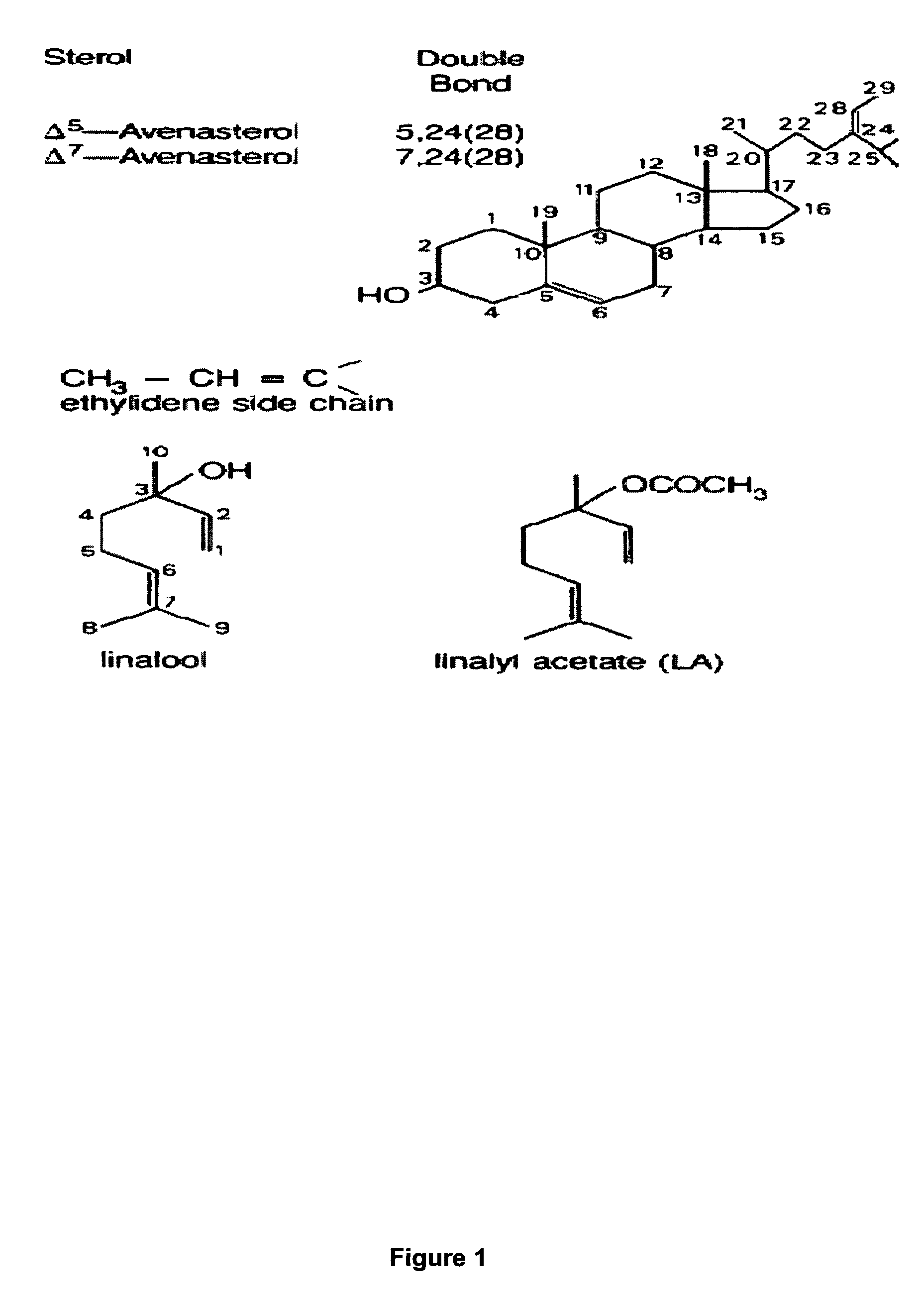 Terpene ester compounds as autoxidation inhibitors for frying oils