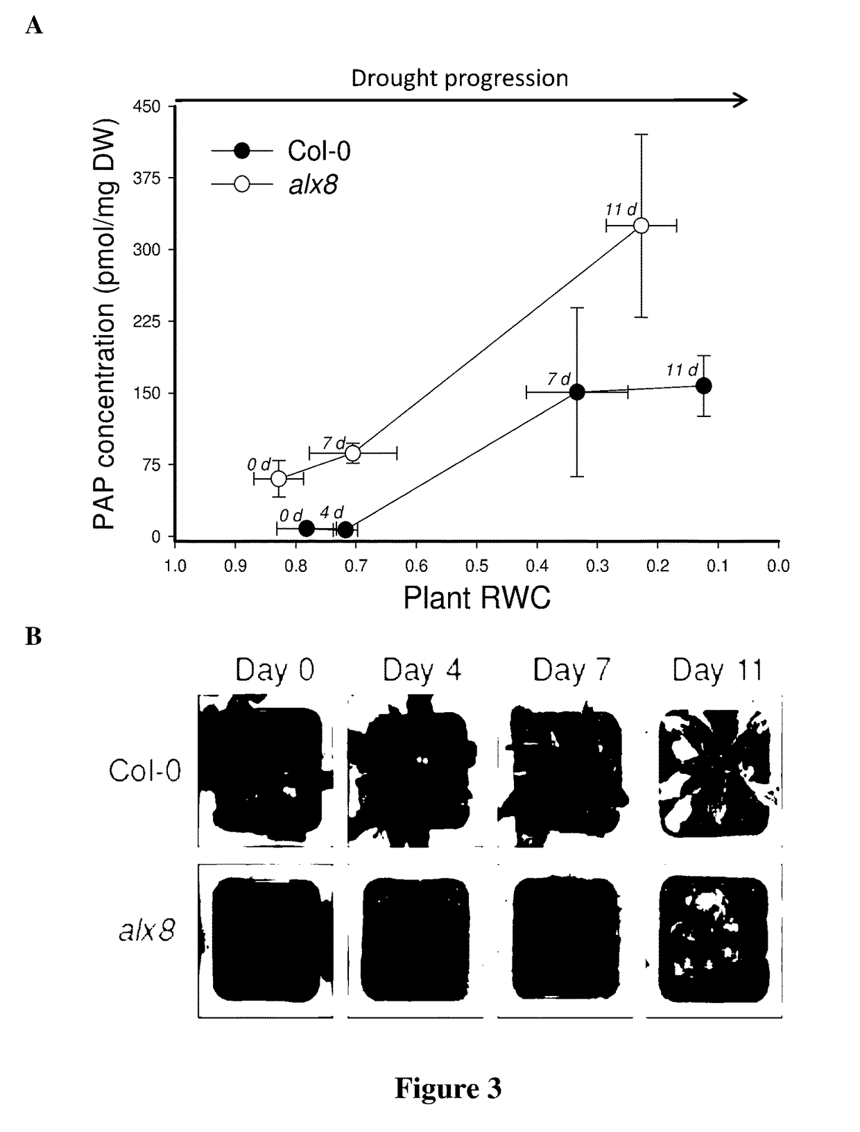 Method for Increasing Plant Stress Tolerance and Seed Dormancy