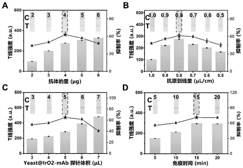 Microbial nano-enzyme probe, test strip for detecting salbutamol and application of test strip