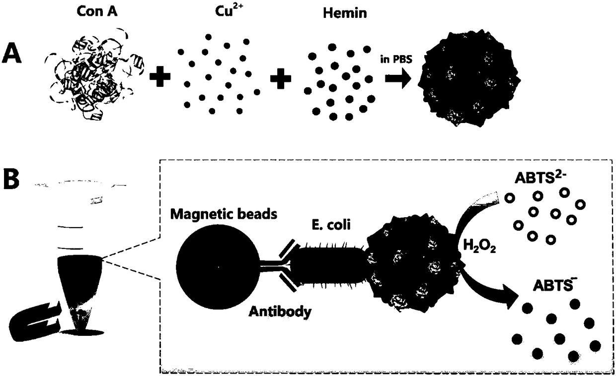 Hemin hybrid nanoflower and preparation method and application thereof