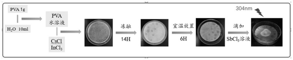 Photoluminescent material, application thereof, stress tracing material and ballistic gel