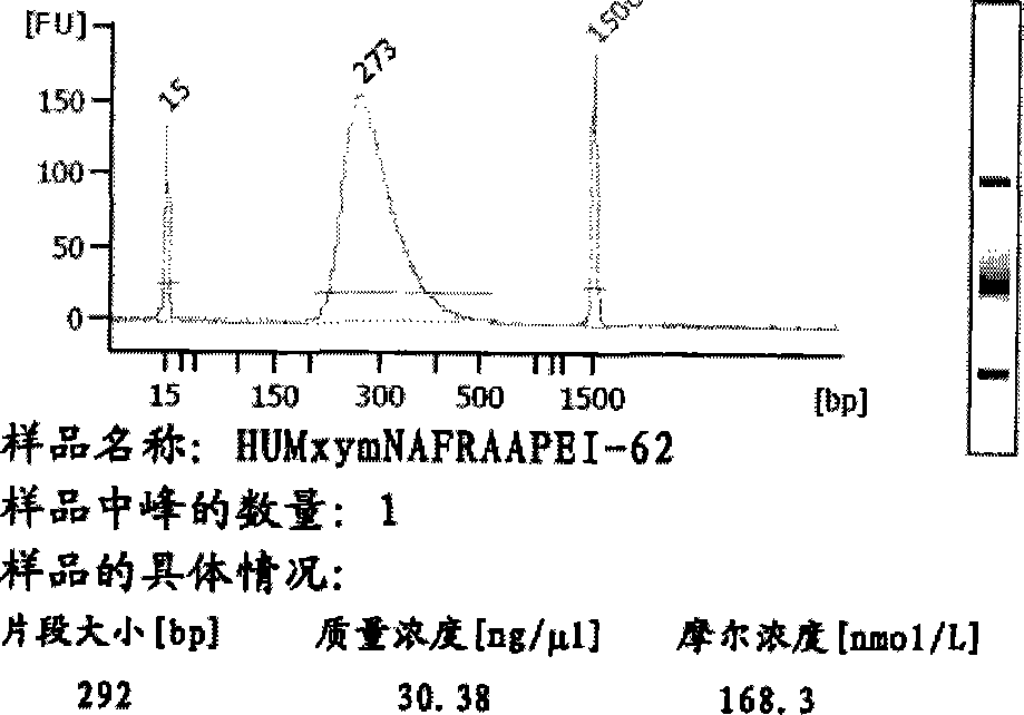 RNA fragmentation reagent and application thereof