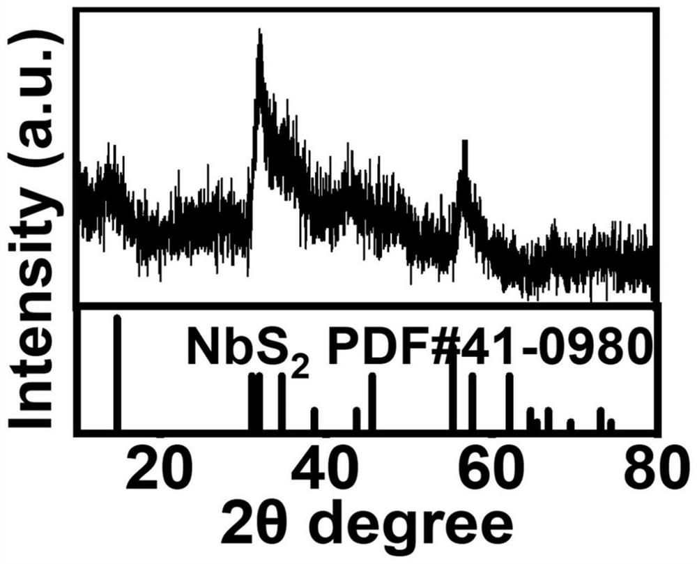 Solvothermal preparation method of NbS2 nanosheet self-assembled hollow microspheres