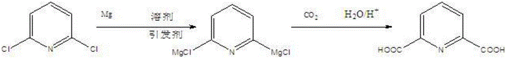 Method for synthesizing 2,6-dipicolinic acid