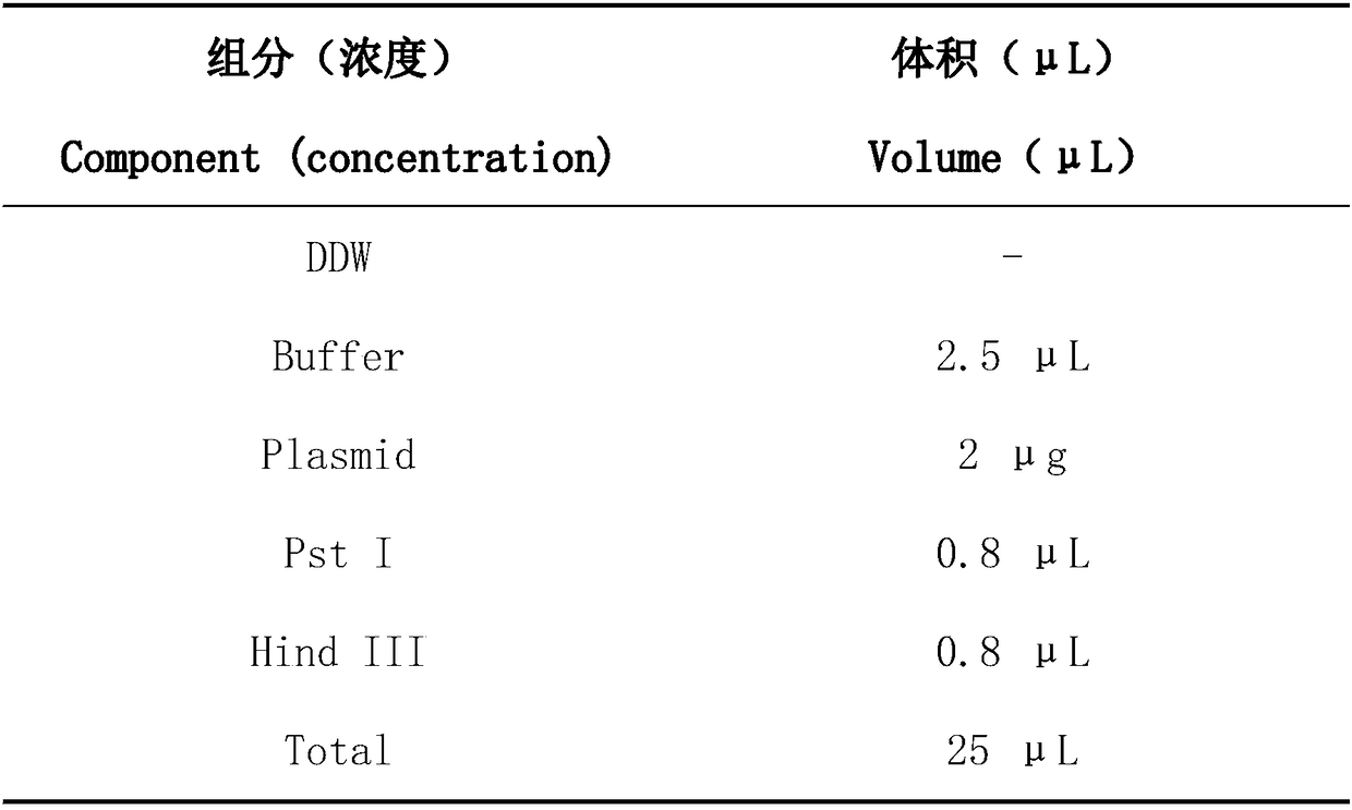 Construction method of lactococcus lactis MG1363 and application of lactococcus lactis MG1363 in treating bacterial vaginitis