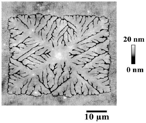 Method for constructing micro-nano patterns in high-molecule film lamellas through selective dissolution