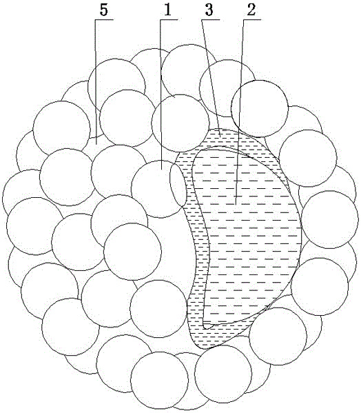 Nano-silica sol with novel structure