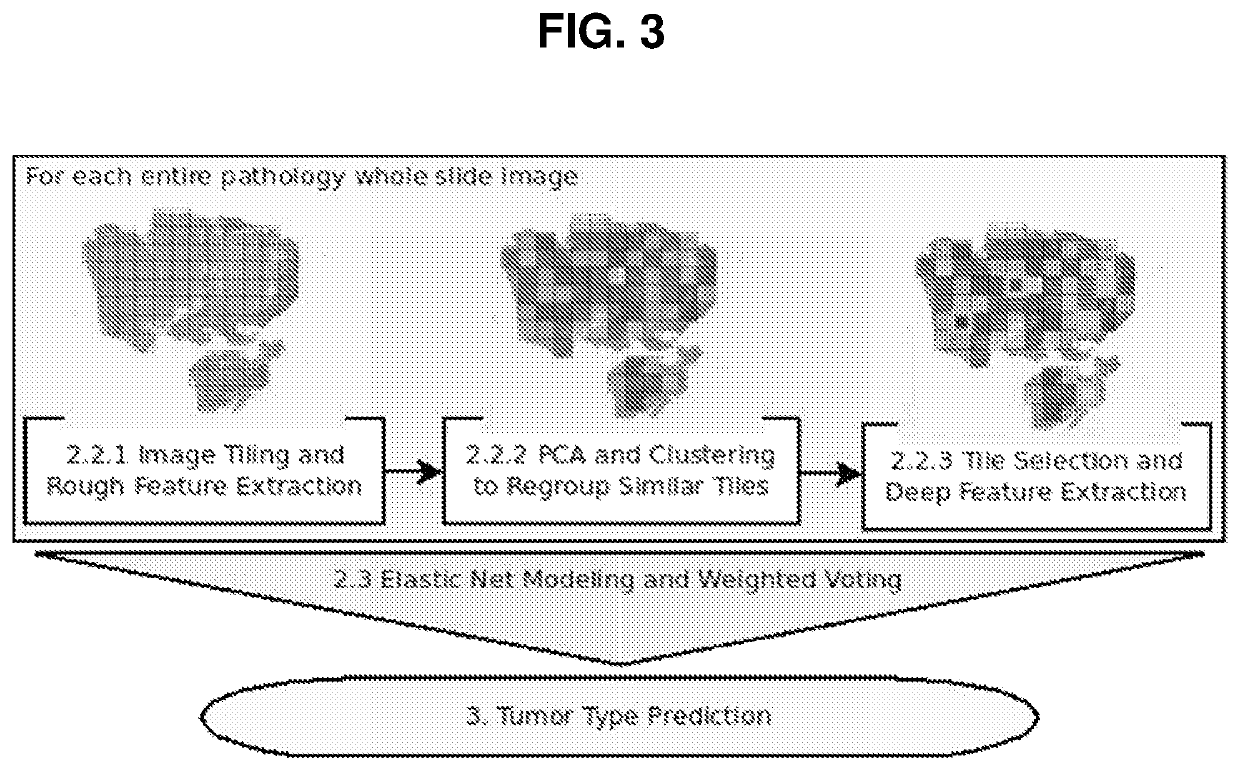 Profiling of pathology images for clinical applications