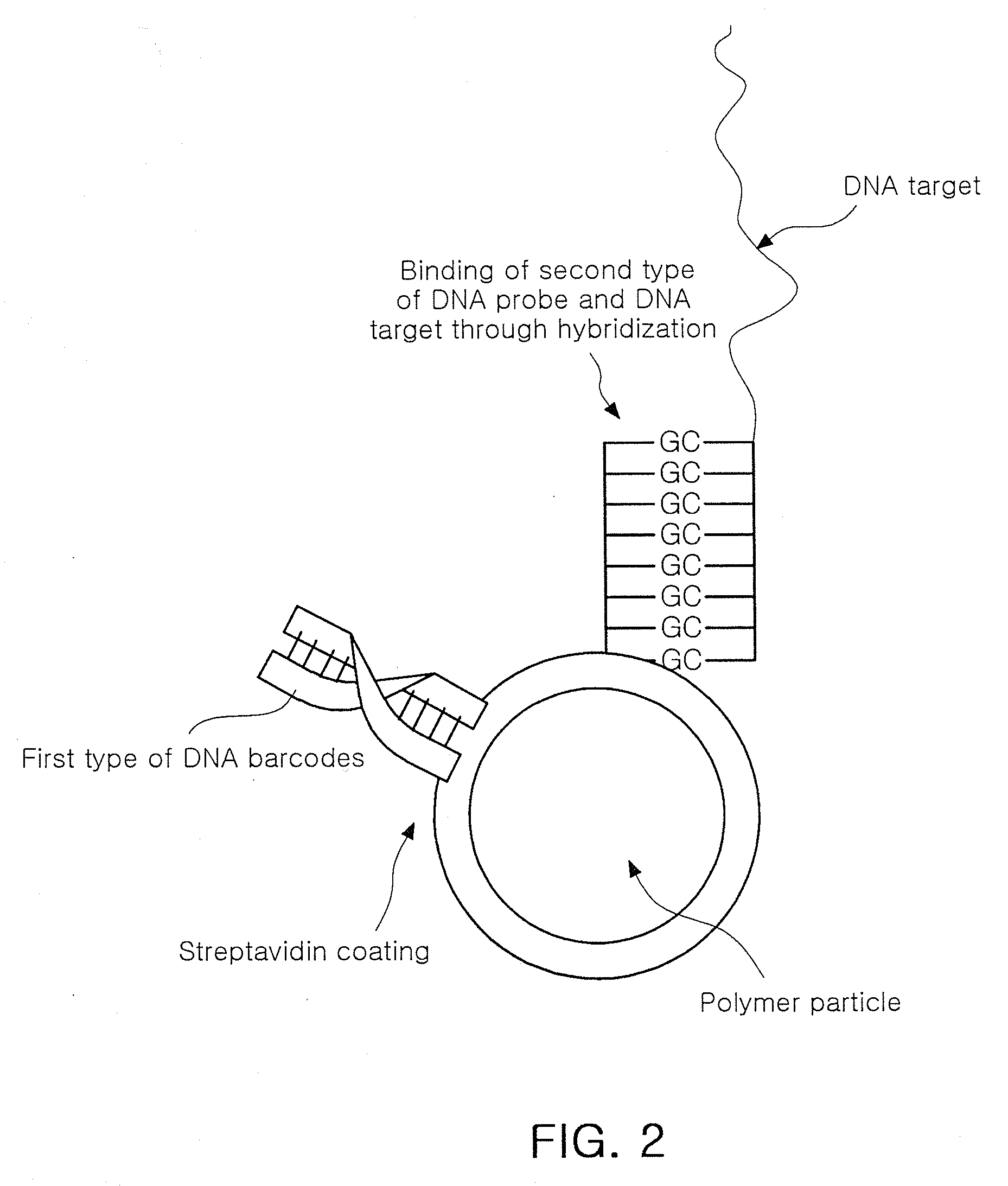 Method for detecting target biological material using DNA barcodes