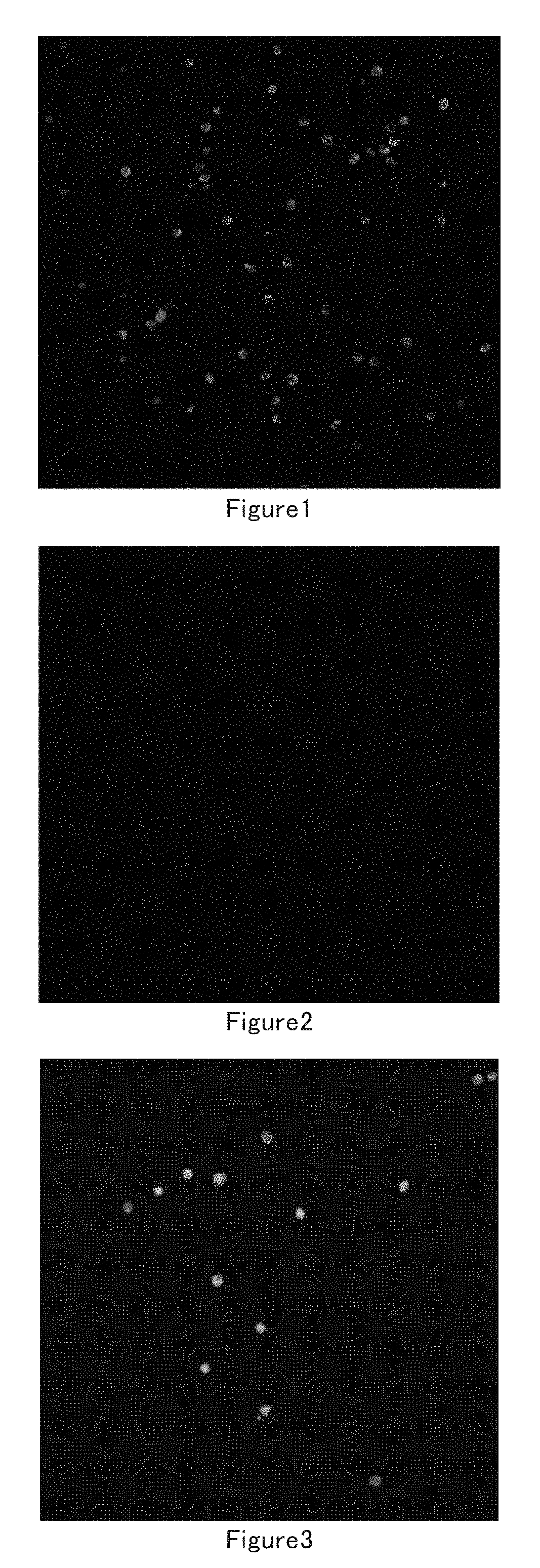 Muscle stem cell in vitro culture method and application