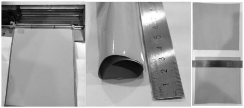 High-toughness laminar bulletproof ceramic material and preparation method combining tape casting method with hot-pressing sintering method