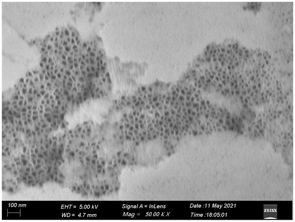 Photoelectric nerve synaptic memristor