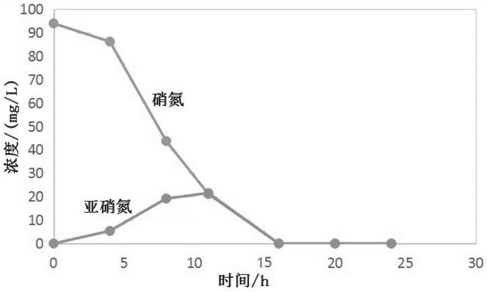 A kind of immobilized bacterial agent and its preparation method and application