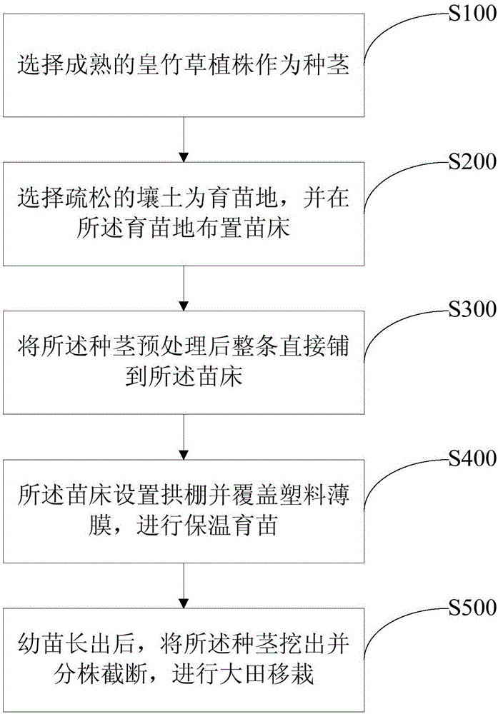 Method for quickly propagating pennisetum hydridum through whole plant burying