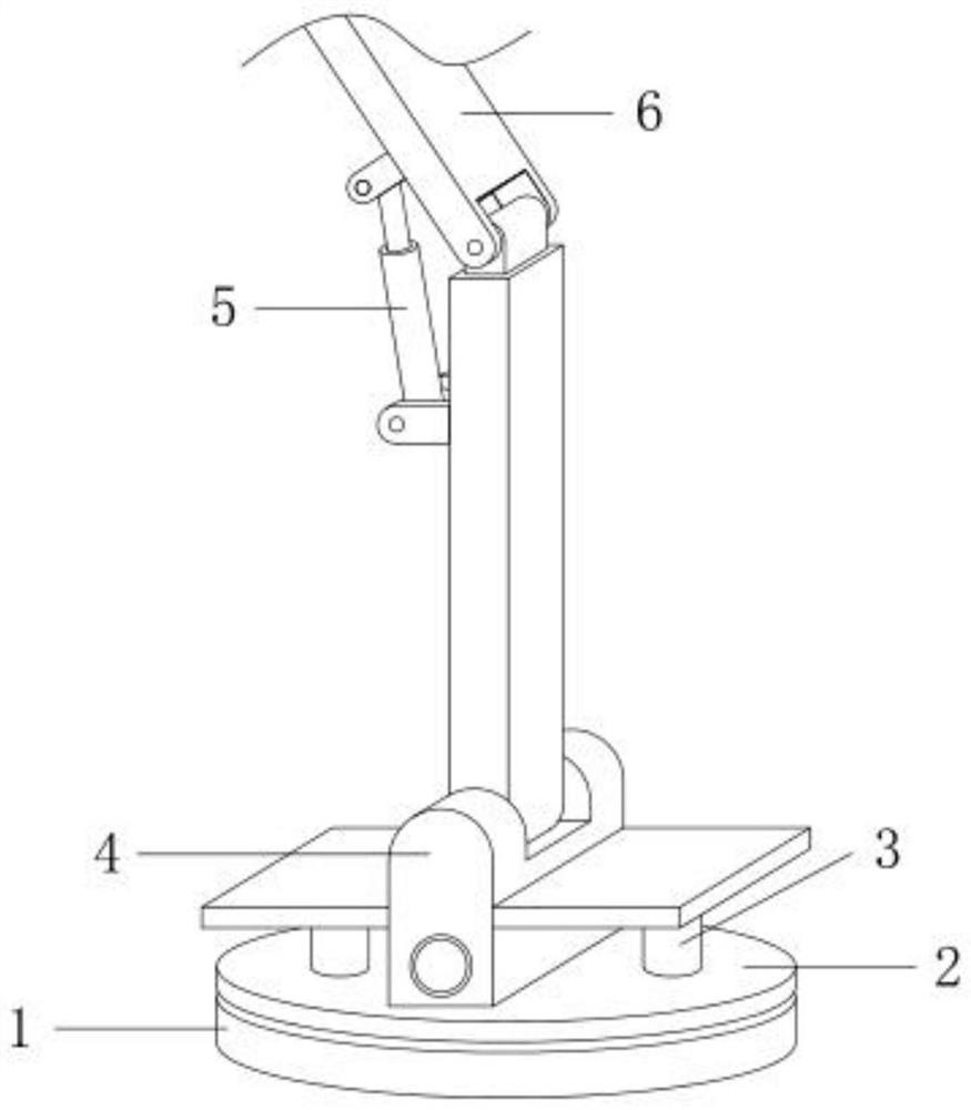 Cosmetic processing and carrying device