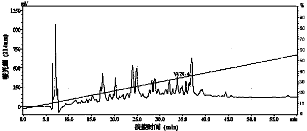 A kind of dandelion seed antioxidant tetrapeptide and preparation method thereof