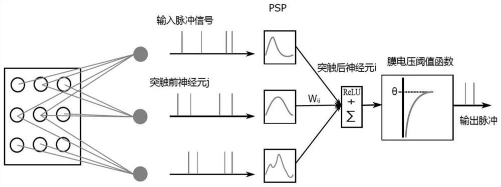 An image classification method based on multi-layer spiking convolutional neural network