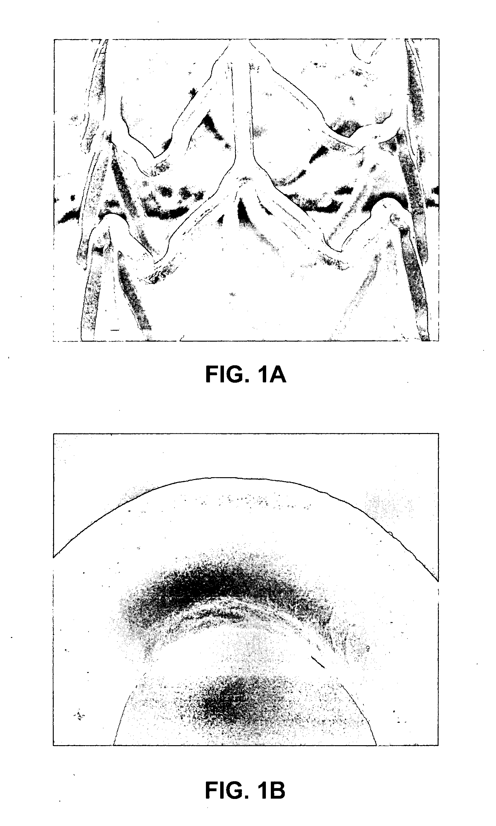 Coatings for implantable medical devices comprising hydrophilic substances and methods for fabricating the same