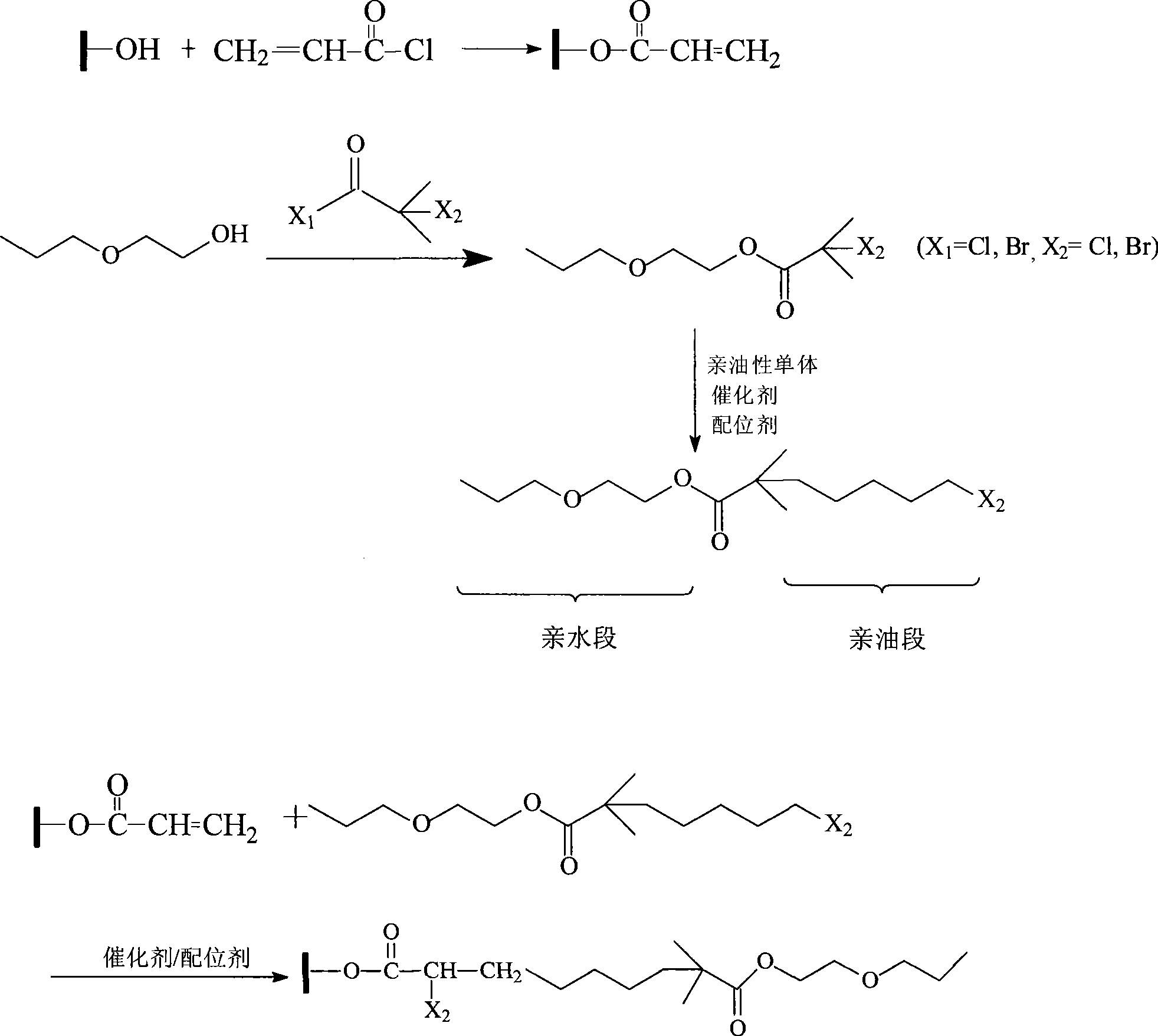 Method for preparing amphipathic block polymer decorated nanometer-carbon tube